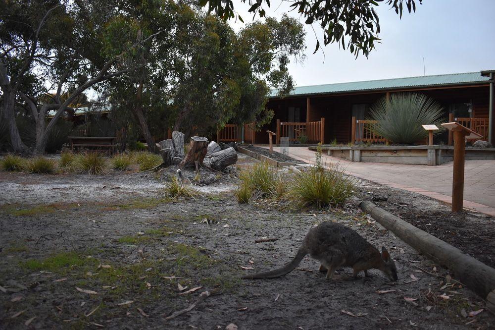פלינדרס צ'ייס Kangaroo Island Wilderness Retreat מראה חיצוני תמונה