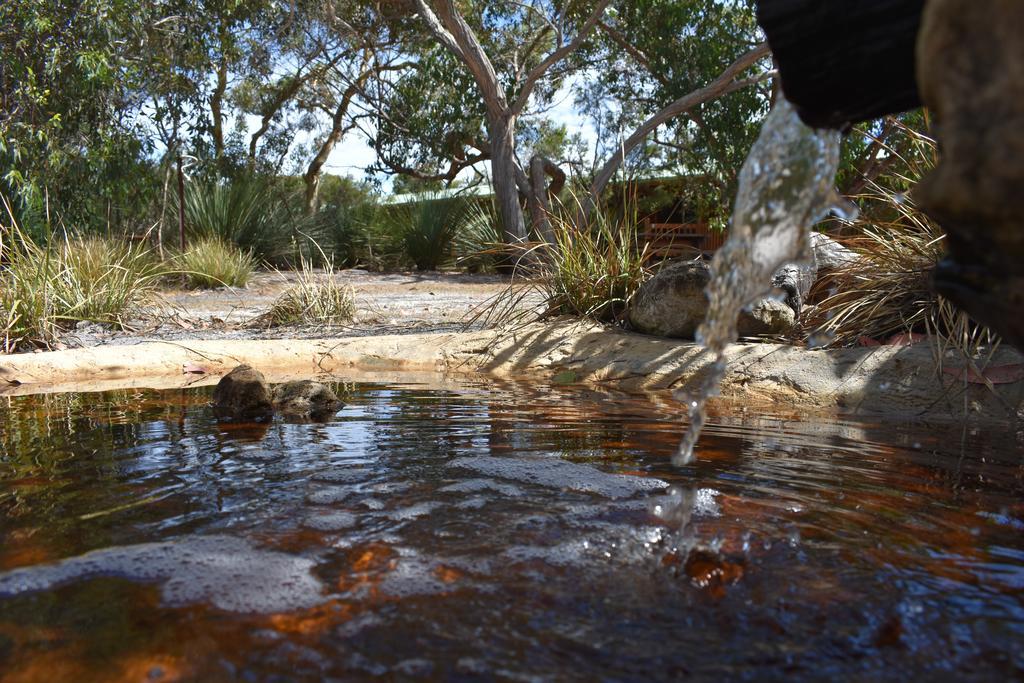 פלינדרס צ'ייס Kangaroo Island Wilderness Retreat מראה חיצוני תמונה