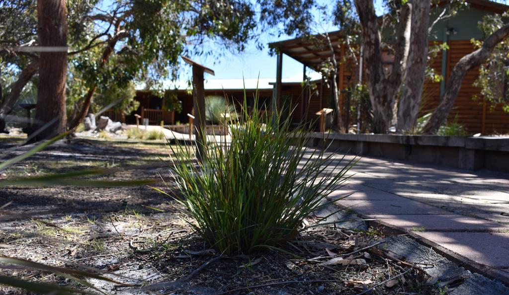 פלינדרס צ'ייס Kangaroo Island Wilderness Retreat מראה חיצוני תמונה