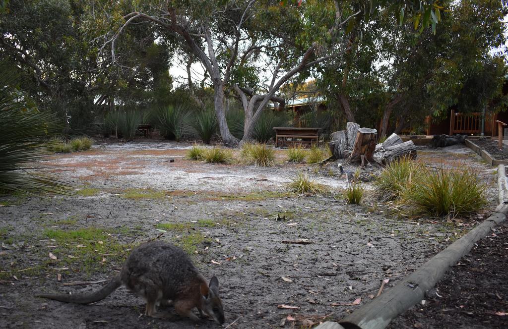 פלינדרס צ'ייס Kangaroo Island Wilderness Retreat מראה חיצוני תמונה