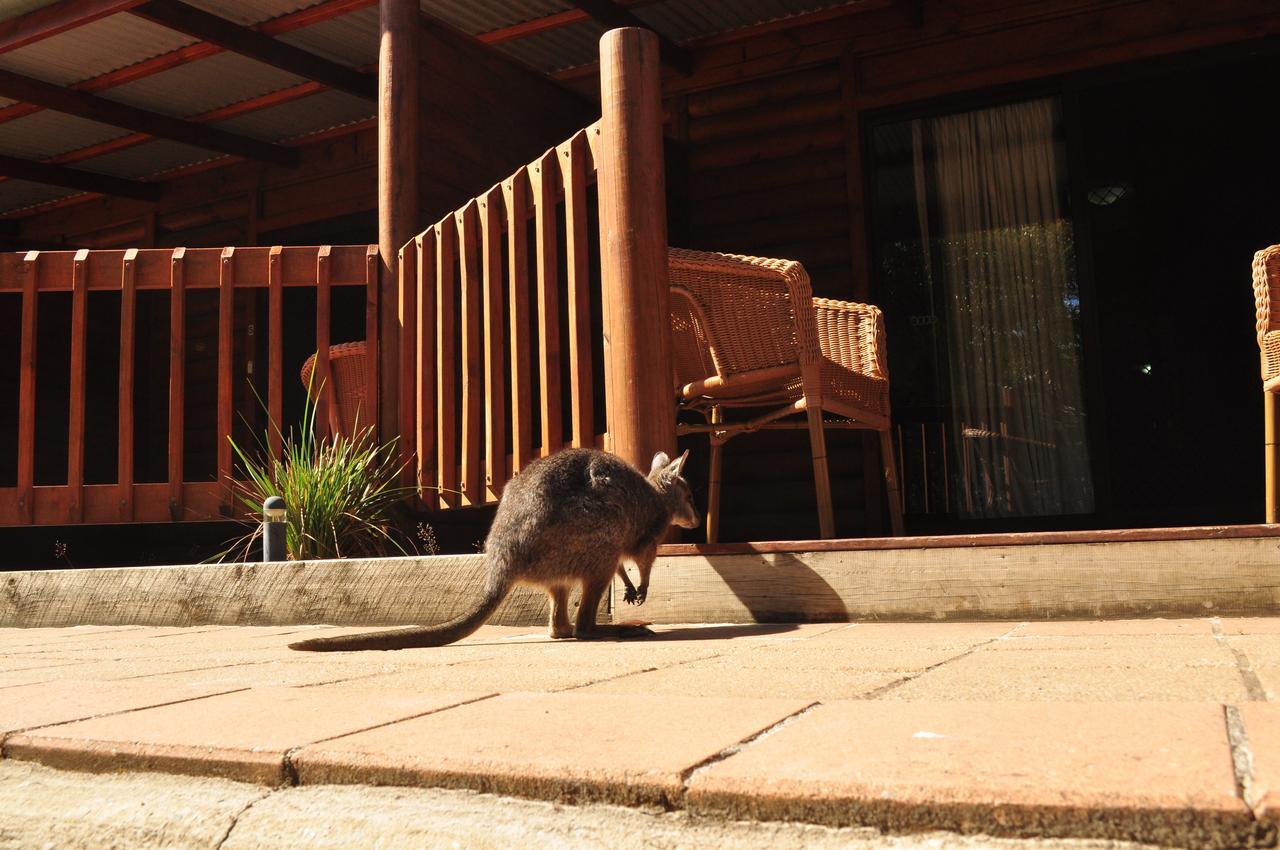 פלינדרס צ'ייס Kangaroo Island Wilderness Retreat מראה חיצוני תמונה