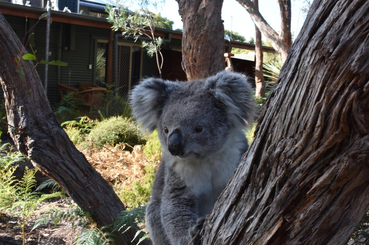 פלינדרס צ'ייס Kangaroo Island Wilderness Retreat מראה חיצוני תמונה