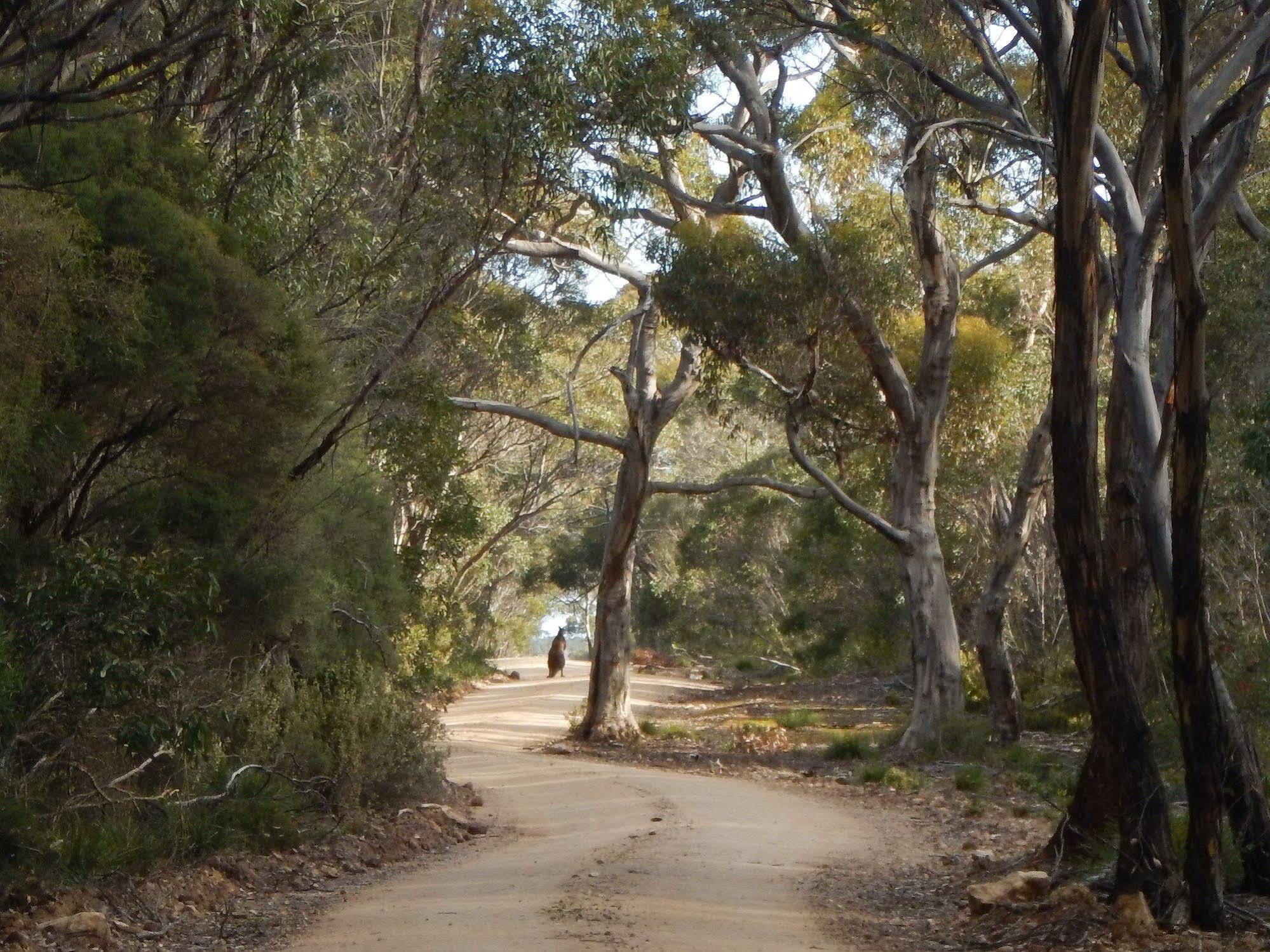 פלינדרס צ'ייס Kangaroo Island Wilderness Retreat מראה חיצוני תמונה